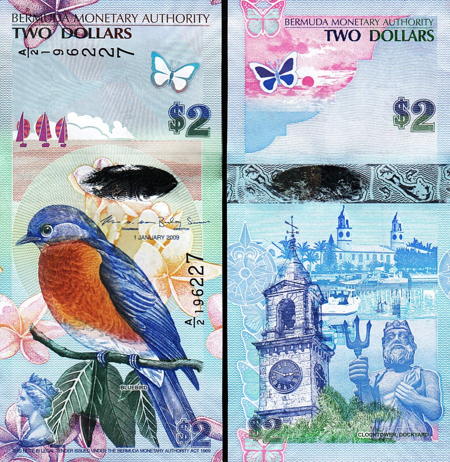 Bermuda 2 Dollars 2009, Unc, Bluebird And Flowers, P-57c