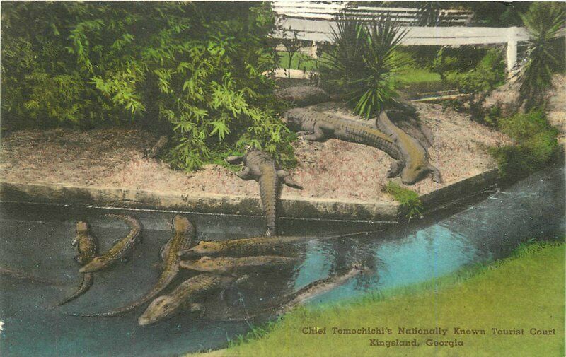 Kingsland Georgia Alligator Zoo Tomochichi's Tourist Albertype Postcard 21-8775